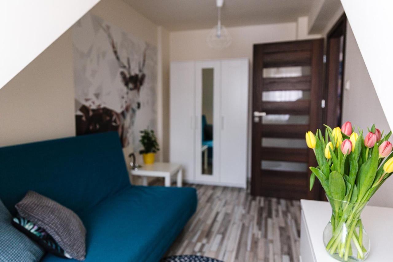 Apartament W Centrum Ustrzyki Dolne Extérieur photo