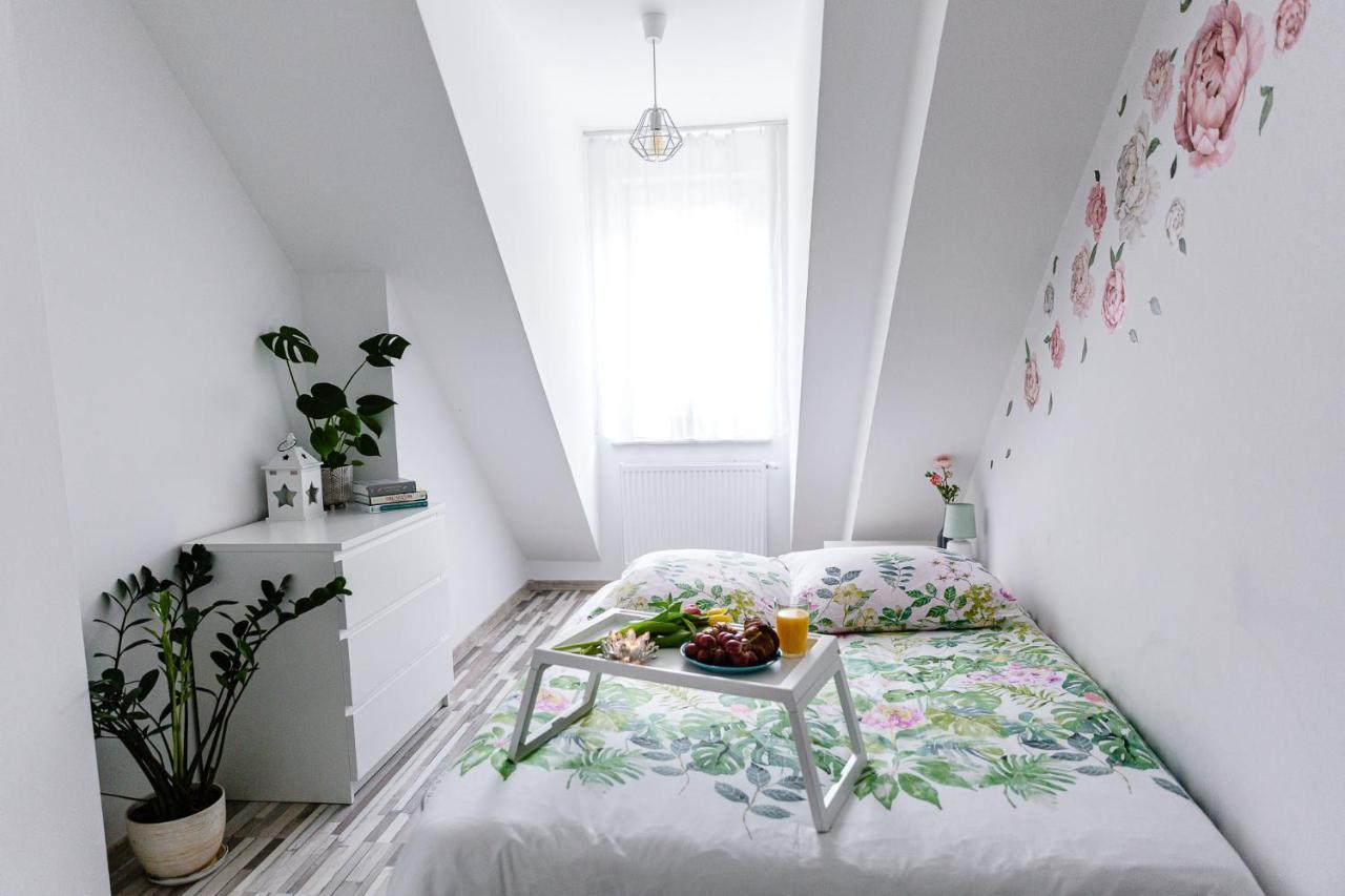 Apartament W Centrum Ustrzyki Dolne Extérieur photo