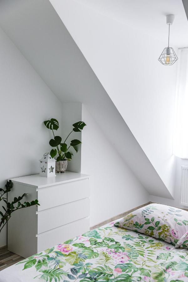Apartament W Centrum Ustrzyki Dolne Extérieur photo